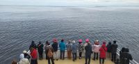 178 auf zum Whale Watching