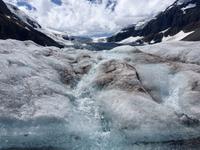 Das ewig jung Waesserchen