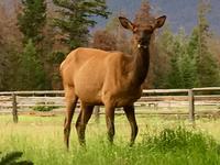 Ach ihr zwei schon wieder !