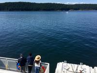 auf Vancouver Island uebersetzend