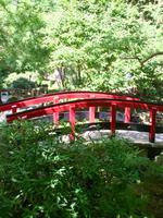 im japanischen Garten