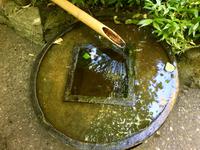 Natur und Menscheit vereint