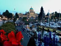 Das Parlament am Abend