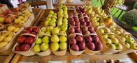 18 Obst aus der Niagara Region