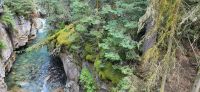 18 Wanderung Johnston Canyon