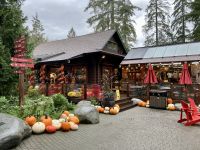 18. Reisetag – Ausflug nach North Vancouver & Aquarium – Capilano Suspension Bridge Park – Herbstliche Dekoration
