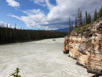 3. Tag Panoramafahrt entlang des Icefields Parkway – Columbia Icefield – Jasper-Nationalpark (12)