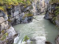 3. Tag Panoramafahrt entlang des Icefields Parkway – Columbia Icefield – Jasper-Nationalpark (16)