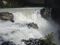 3. Tag Panoramafahrt entlang des Icefields Parkway – Columbia Icefield – Jasper-Nationalpark (21)