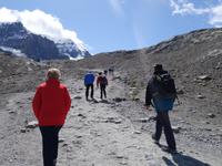 3. Tag Panoramafahrt entlang des Icefields Parkway – Columbia Icefield – Jasper-Nationalpark (28)
