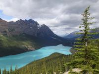 3. Tag Panoramafahrt entlang des Icefields Parkway – Columbia Icefield – Peyto Lake (1)