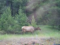 4. Tag Weiterreise nach British Columbia - Kamloops (26)