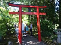 6. Tag Ausflug nach Vancouver Island (10)