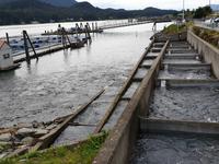 10. Tag Juneau - Alaskas Hauptstadt - Eberhardt-Ausflug inklusive (6)