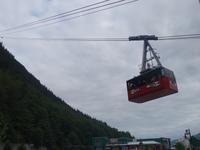 10. Tag Juneau - Alaskas Hauptstadt - Eberhardt-Ausflug inklusive (19)