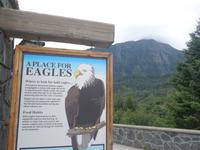 10. Tag Juneau - Alaskas Hauptstadt - Eberhardt-Ausflug inklusive (24)