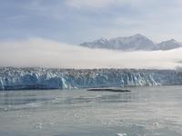 13. Tag Fahrt zum Hubbard-Gletscher (11)