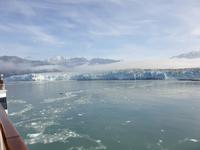 13. Tag Fahrt zum Hubbard-Gletscher (12)