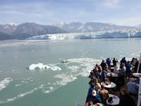 13. Tag Fahrt zum Hubbard-Gletscher (15)