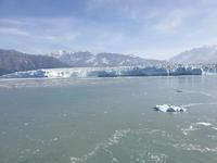 13. Tag Fahrt zum Hubbard-Gletscher (16)