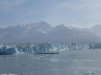 13. Tag Fahrt zum Hubbard-Gletscher (51)