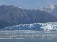 13. Tag Fahrt zum Hubbard-Gletscher (53)