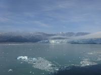 13. Tag Fahrt zum Hubbard-Gletscher (63)