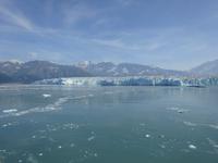 13. Tag Fahrt zum Hubbard-Gletscher (67)