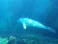 14. Tag Ankunft in Seward - Exit-Gletscher - Anchorage (9)