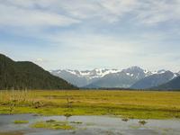 14. Tag Ankunft in Seward - Exit-Gletscher - Anchorage (23)