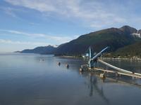 14. Tag Ankunft in Seward - Exit-Gletscher - Anchorage (29)