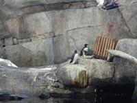 14. Tag Ankunft in Seward - Exit-Gletscher - Anchorage (44)