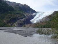14. Tag Ankunft in Seward - Exit-Gletscher - Anchorage (49)
