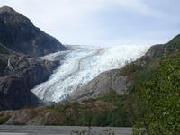 14. Tag Ankunft in Seward - Exit-Gletscher - Anchorage (50)