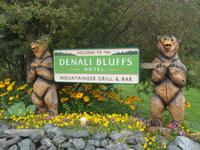 15. Tag Talkeetna - Denali-Nationalpark (11)