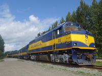 15. Tag Talkeetna - Denali-Nationalpark (22)