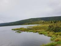 16. Tag Denali-Nationalpark (5)