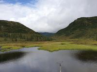 16. Tag Denali-Nationalpark (14)