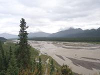 16. Tag Denali-Nationalpark (27)