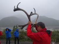 16. Tag Denali-Nationalpark (33)