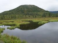 16. Tag Denali-Nationalpark (35)