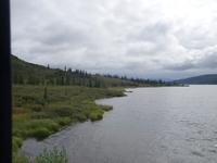 16. Tag Denali-Nationalpark (39)