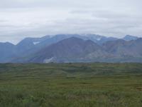 16. Tag Denali-Nationalpark (44)