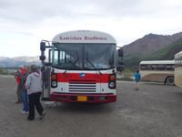 16. Tag Denali-Nationalpark (46)