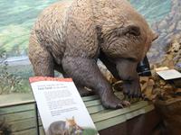 16. Tag Denali-Nationalpark (55)