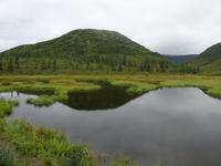 16. Tag Denali-Nationalpark (64)