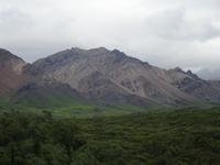 16. Tag Denali-Nationalpark (82)