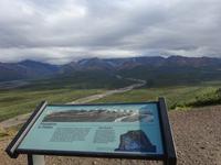 16. Tag Denali-Nationalpark (86)