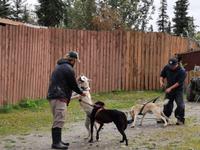 16. Tag Denali-Nationalpark (94)