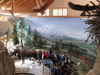 17. Tag Zugfahrt mit dem Alaska Wildness Express nach Anchorage (4)